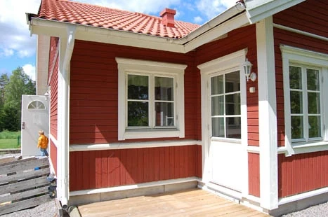 Gullvivan 11
